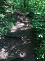 trail 4